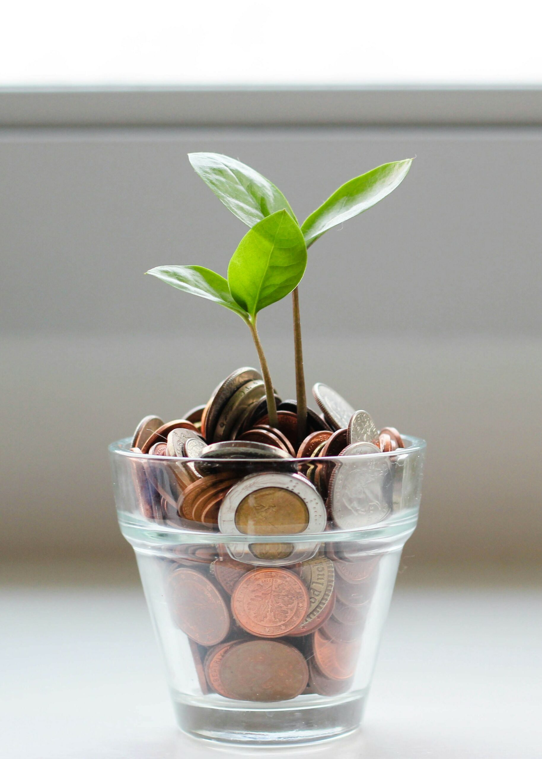 fiscalité patrimoniale